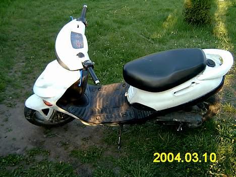 Adly tmp baboon billede 5