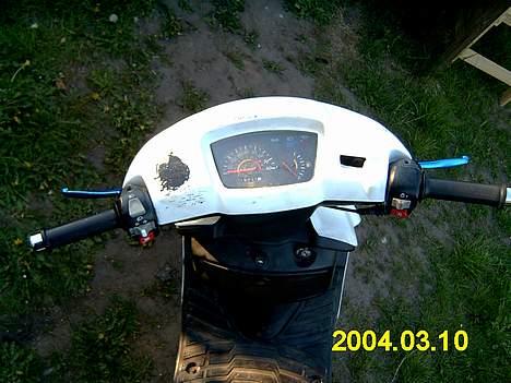 Adly tmp baboon billede 6