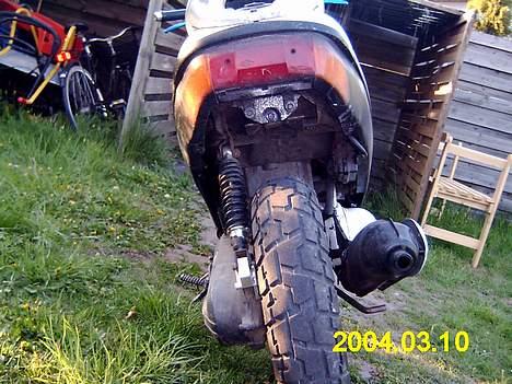 Adly tmp baboon billede 7