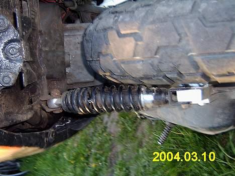 Adly tmp baboon billede 8