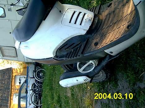 Adly tmp baboon billede 9