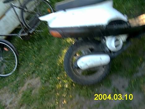 Adly tmp baboon billede 11