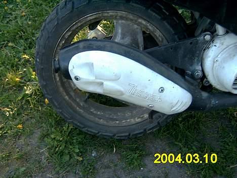 Adly tmp baboon billede 12