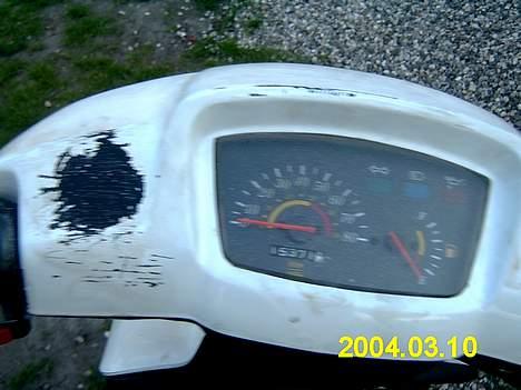 Adly tmp baboon billede 13