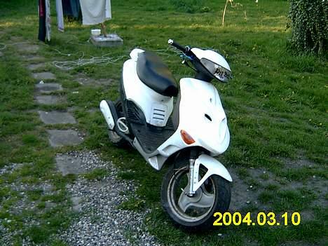 Adly tmp baboon billede 14