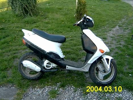 Adly tmp baboon billede 15