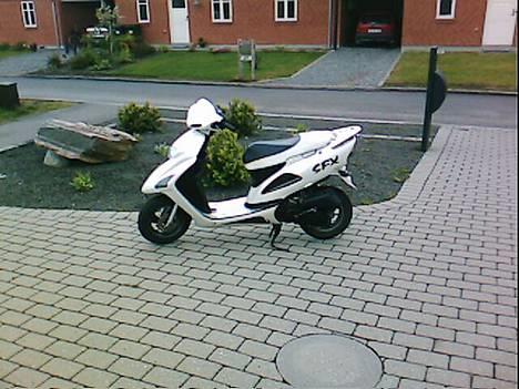 Honda SFX ( Solgt ) billede 1