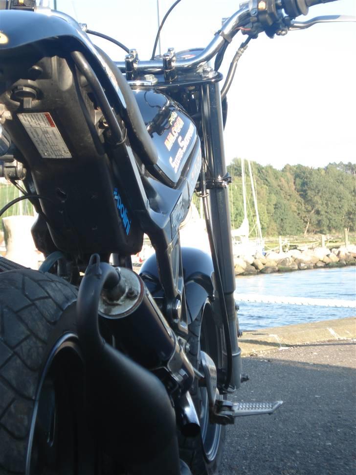 Suzuki Street Magic ELEANOR billede 16