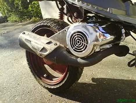 Adly Cat - ( SOLGT) billede 8