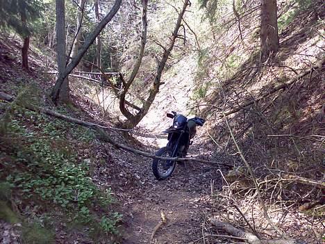 Aprilia MX 50  | Solgt | - Fanget ?, Aldrig ! ;) billede 16