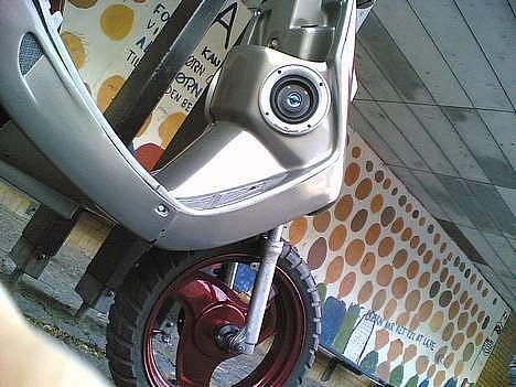 Adly Cat - ( SOLGT) billede 9