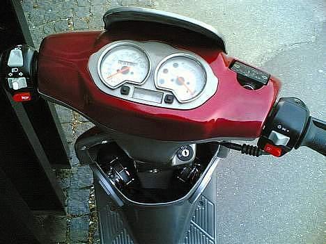 Adly Cat - ( SOLGT) billede 10