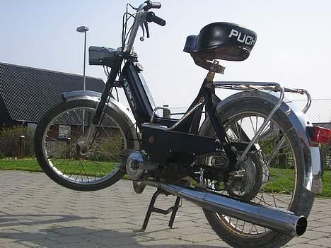 Puch Maxi K billede 3