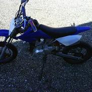 MiniBike 125cc 
