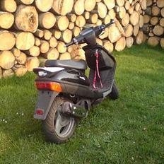 Adly baboon (SOLGT)