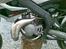 Derbi Senda ( SOLGT )