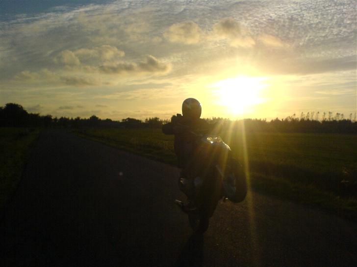 PGO Hot50 Solgt billede 2