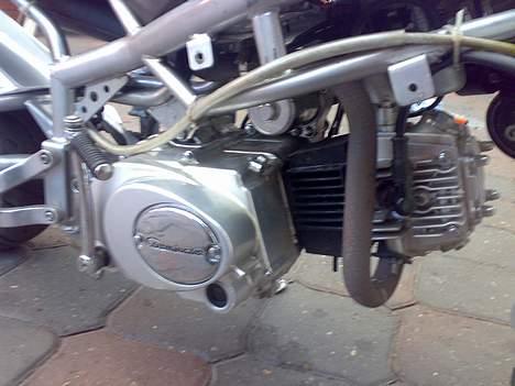 MiniBike 110ccm solgt for 2500 kr - så er der kommet nye skjolde på billede 11