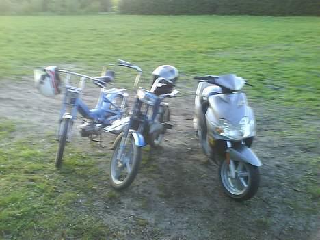 Puch maxi k  - Team bonderøv billede 11