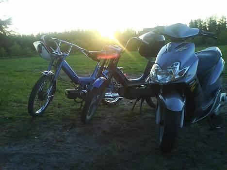 Puch maxi k  - Team bonderøv billede 12