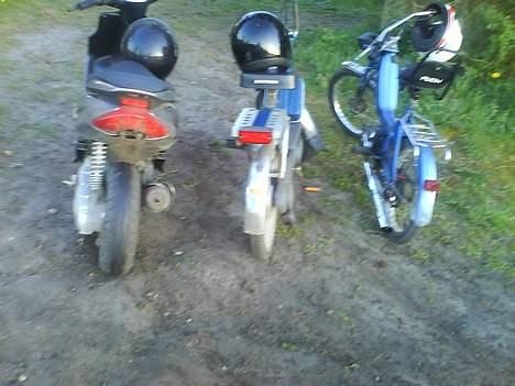 Puch maxi k  - Team bonderøv billede 13