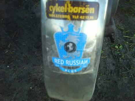 Puch maxi k  - Maxim er russer hehe billede 16