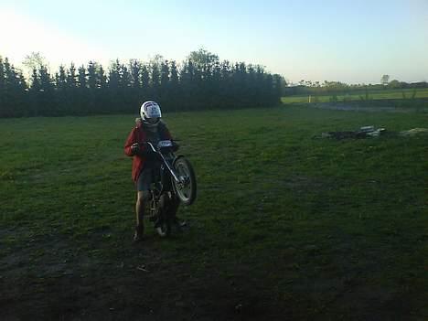 Puch maxi k  - Mig på Maxims ciao billede 18