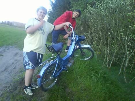 Puch maxi k  - De to andre medlemmer af team Bonderøv Kasper (gul) Maxim (rød) og min puch billede 20