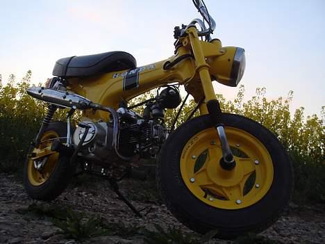 Honda Dax St50 (Solgt) billede 1