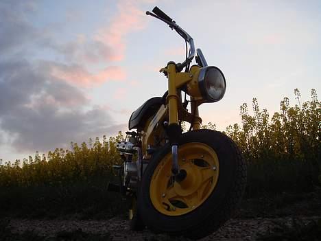 Honda Dax St50 (Solgt) billede 2