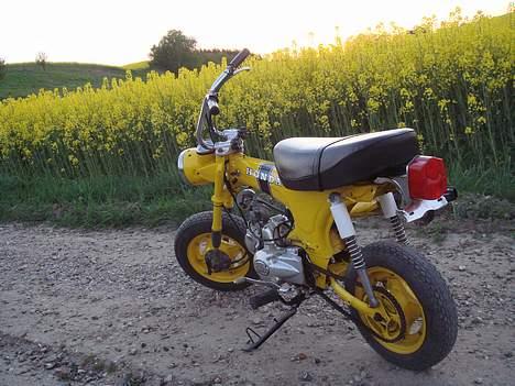 Honda Dax St50 (Solgt) billede 5