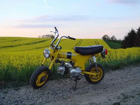 Honda Dax St50 (Solgt) billede 6