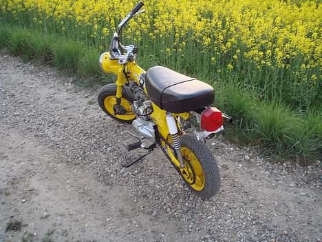 Honda Dax St50 (Solgt) billede 7