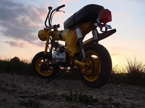 Honda Dax St50 (Solgt) billede 8