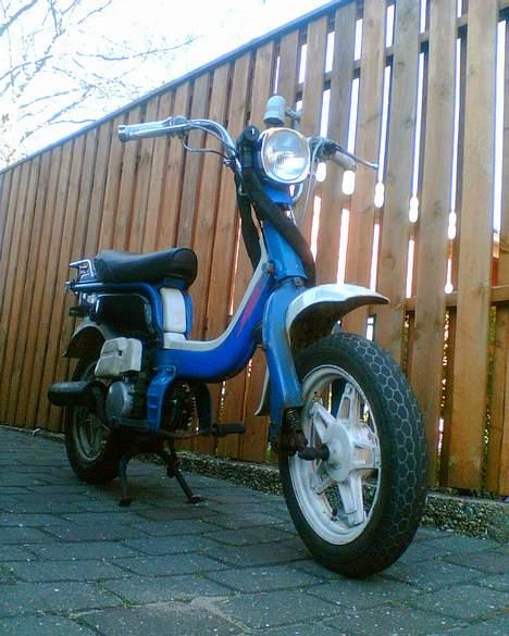 Suzuki FZ50 billede 1