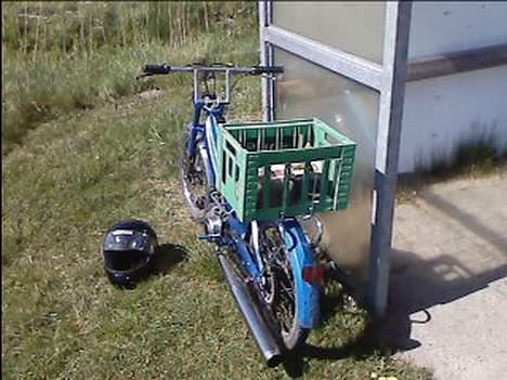 Puch maxi K | SOLGT ! | - hun er dejlig :D<333 billede 2