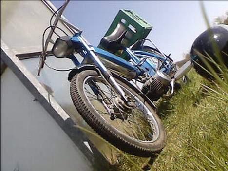 Puch maxi K | SOLGT ! | - hun er dejlig :D<333 billede 4