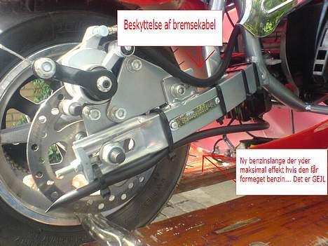 MiniBike Daytona billede 15