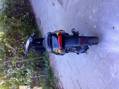 Piaggio Typhoon solgt/ billede 2