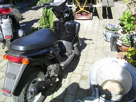 Yamaha Slider*SOLGT* billede 4