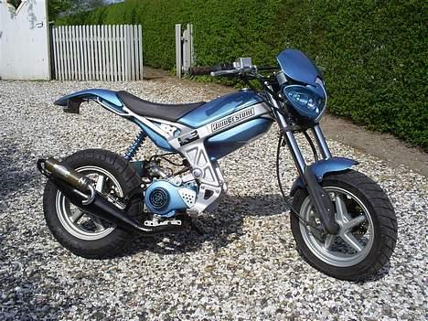 Suzuki Street Magic - Solgt billede 6