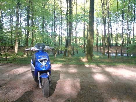 Piaggio Nrg mc3 billede 11