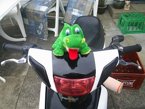 Yamaha Jog fs SOLGT - tja den vil os med ud og køre når jeg vil ud og køre :P billede 3