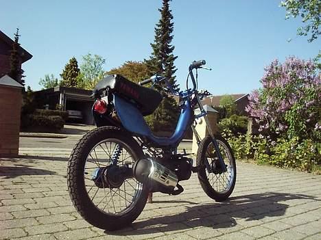 Yamaha 82km/t Sting.  - Den skinner, mere end de fleste fra den årgang. billede 4