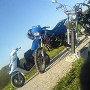 Regal Raptor ADS Design #SOLGT#