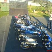 Regal Raptor ADS Design #SOLGT#