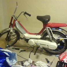 Honda Camino Projekt