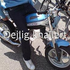 Suzuki Street Magic | SOLGT