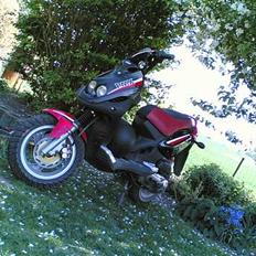 PGO PMX sport    Solgt