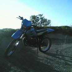 Suzuki rmx før projekt